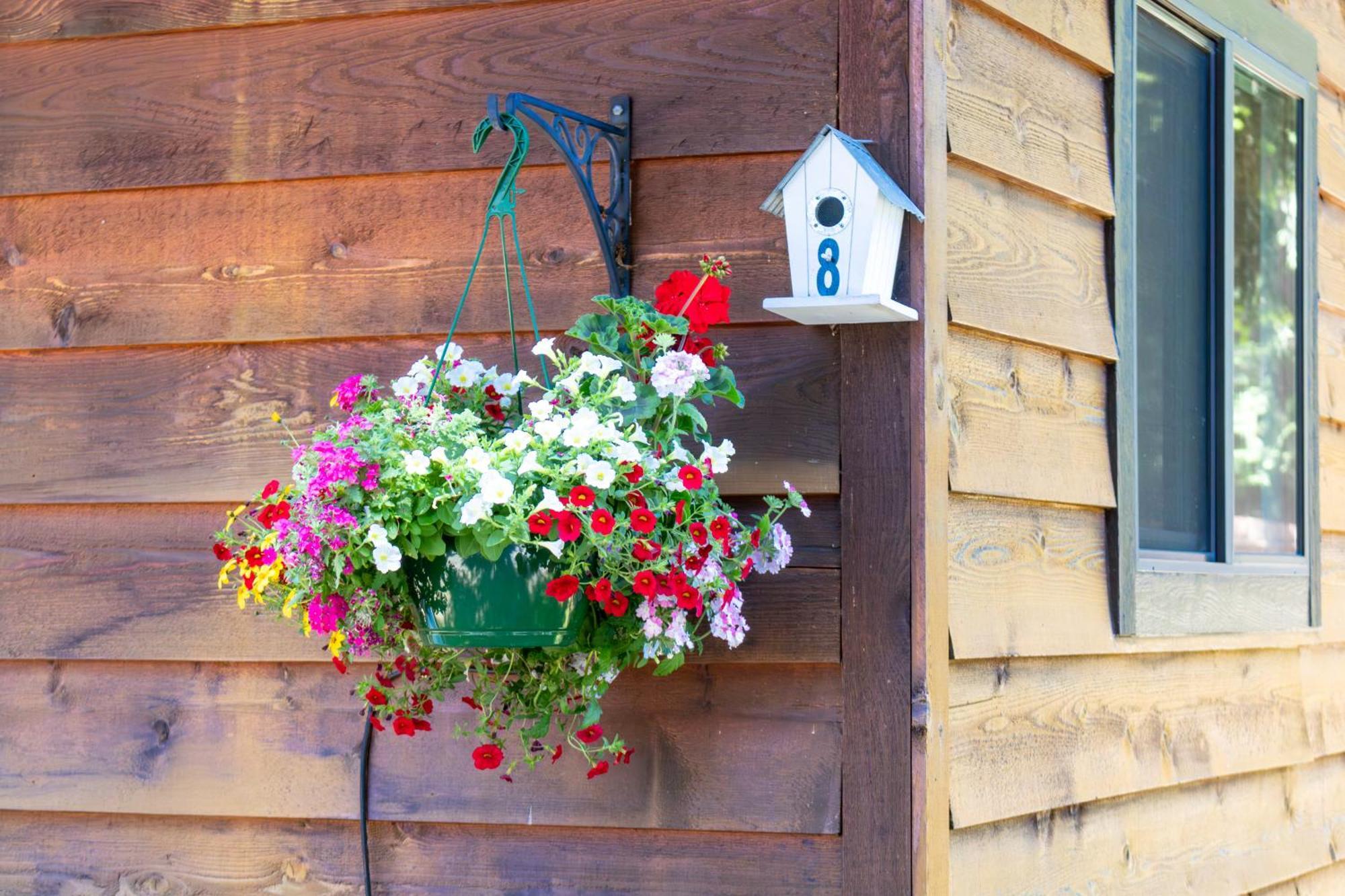 Riverbend Cottage & Rv Resort Parksville Esterno foto