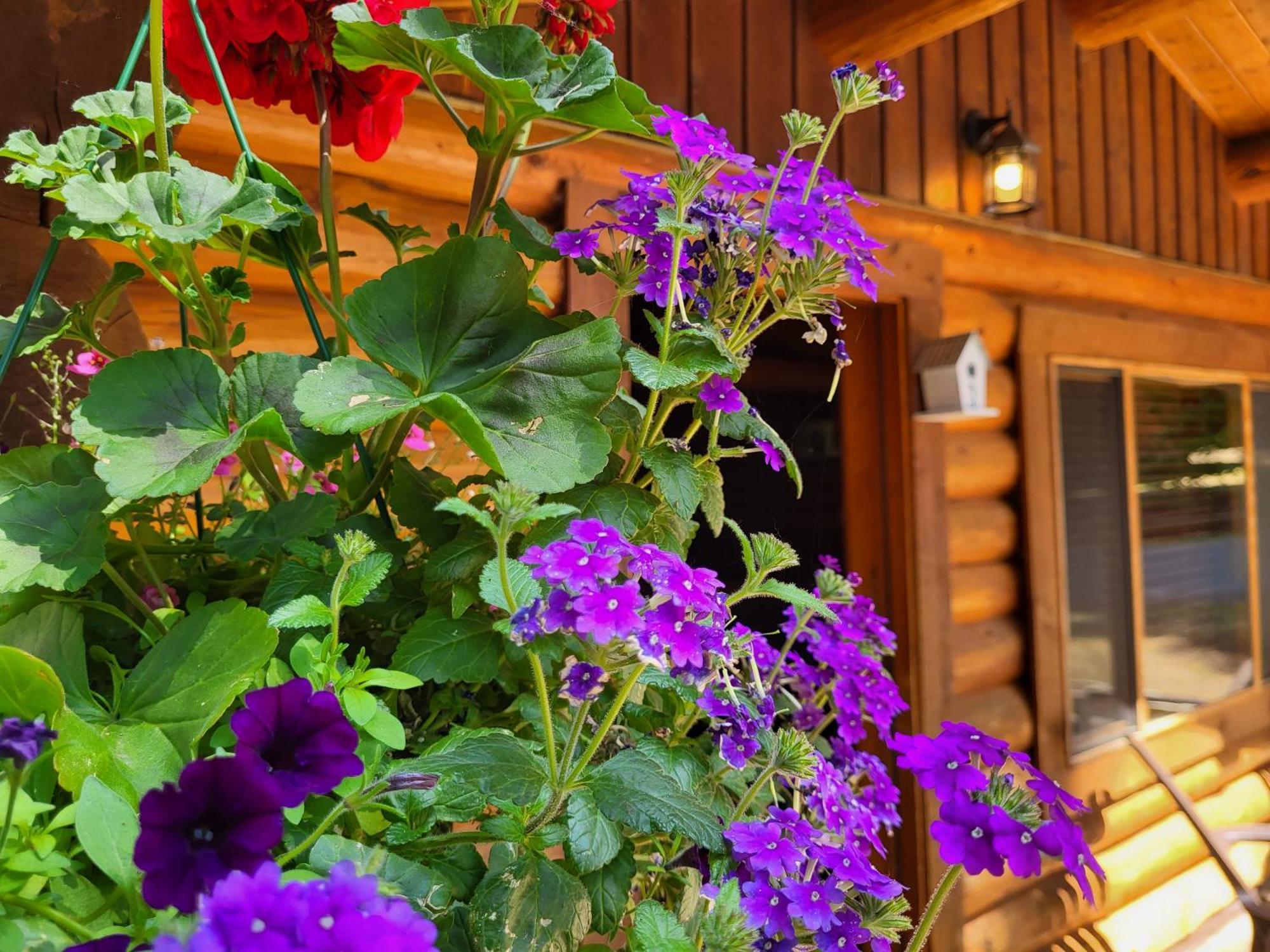 Riverbend Cottage & Rv Resort Parksville Esterno foto